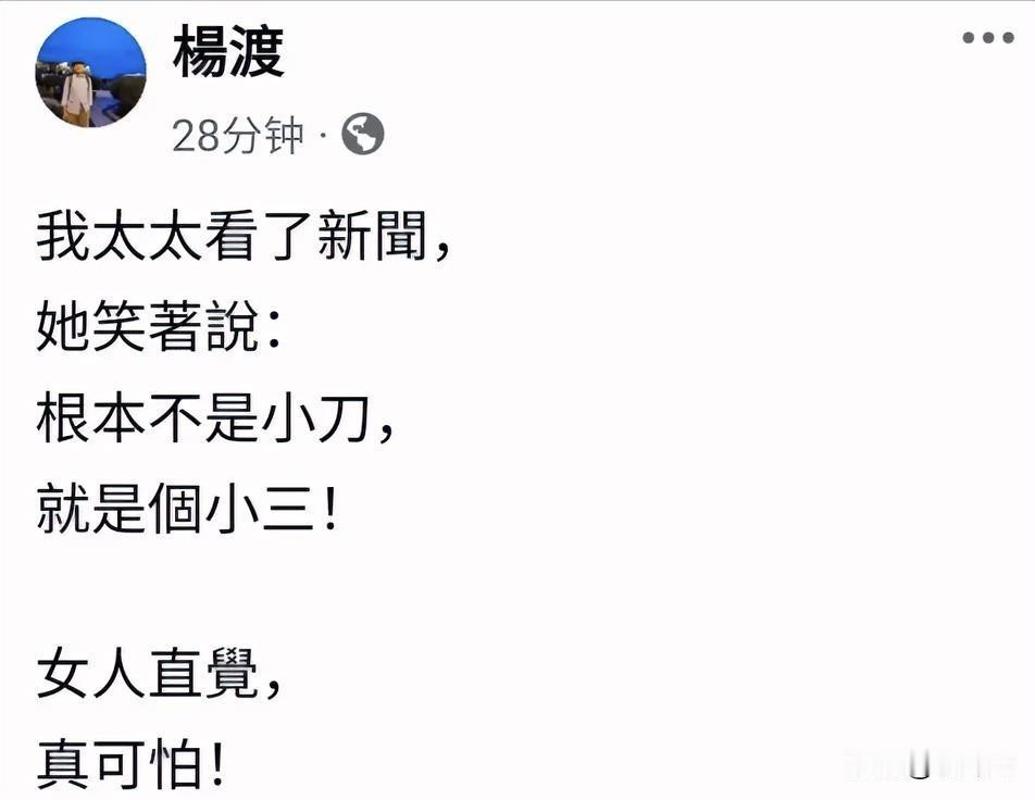 字很少，信息量很大。马英九好朋友杨渡今天（5月27日周三）发文：我太太看了