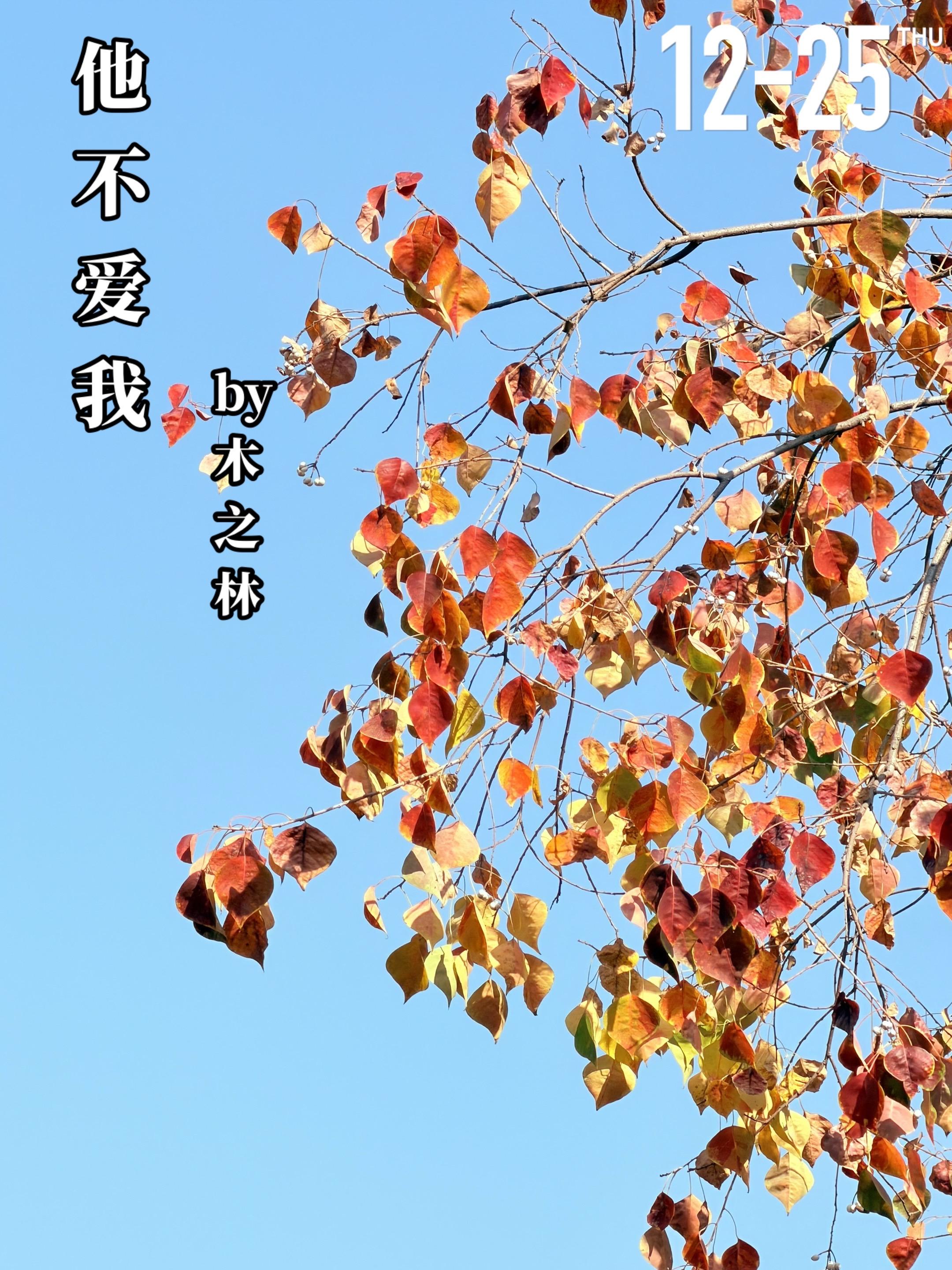 《他不爱我》by木之林。安言（女主）从小开始就喜欢着慕文非（男主），只...