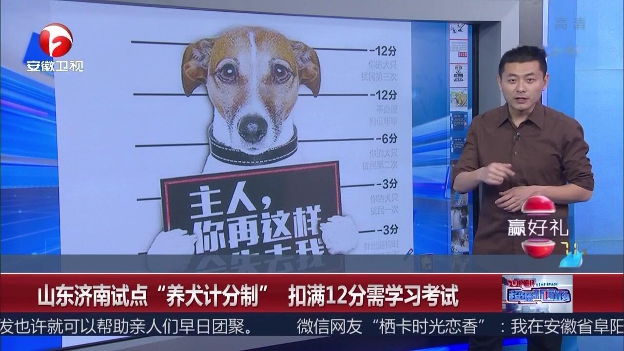 聊城养狗的朋友们注意了，2026年开始有新规定了，有些事不能乱来，小心踩雷！