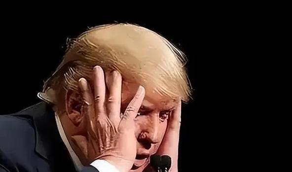 美国人后悔了，短短十几天的时间，美国对华出口生意基本被别国瓜分了，中国已经不买美