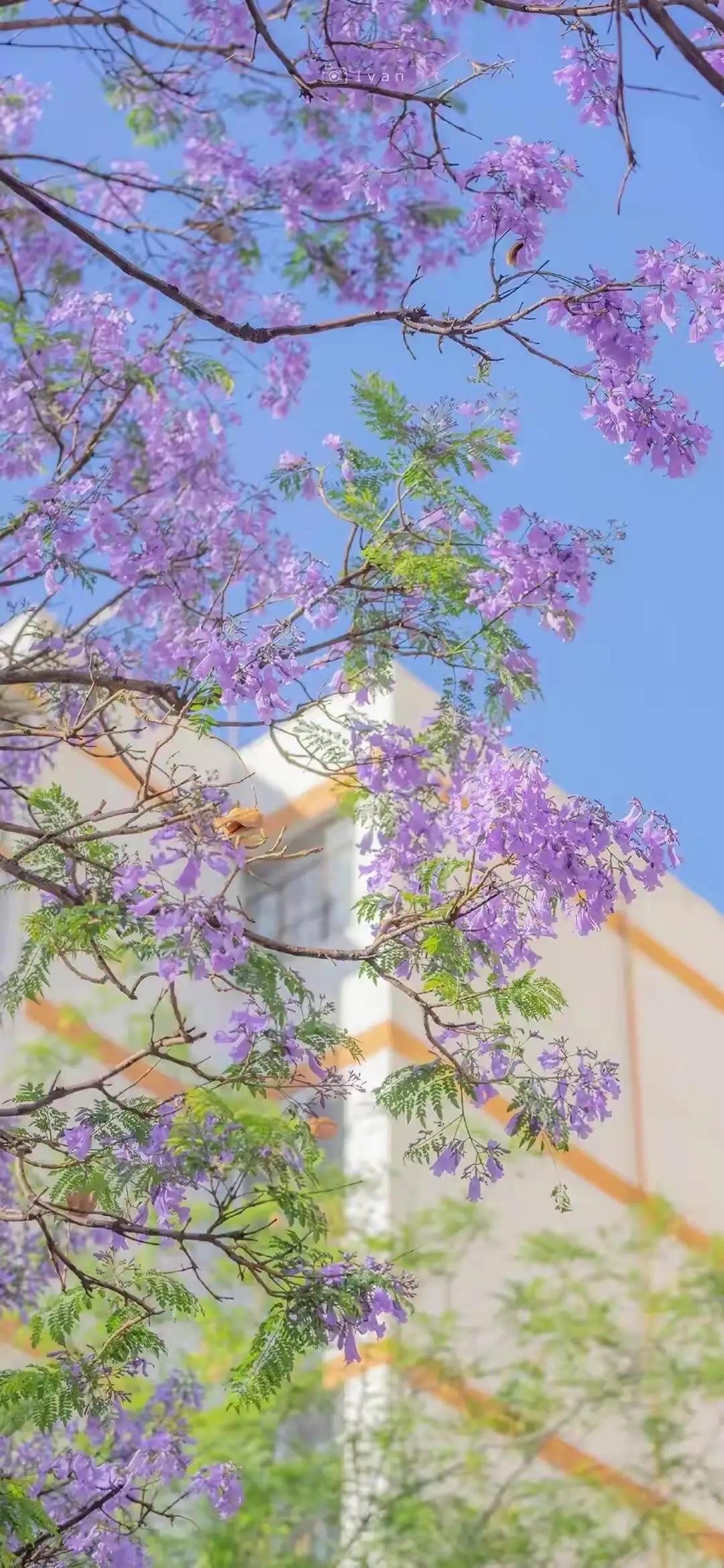 一位足浴小姐姐说，“有的客人毫无底线，买个188的套餐就想在洗脚时揩点油，装着