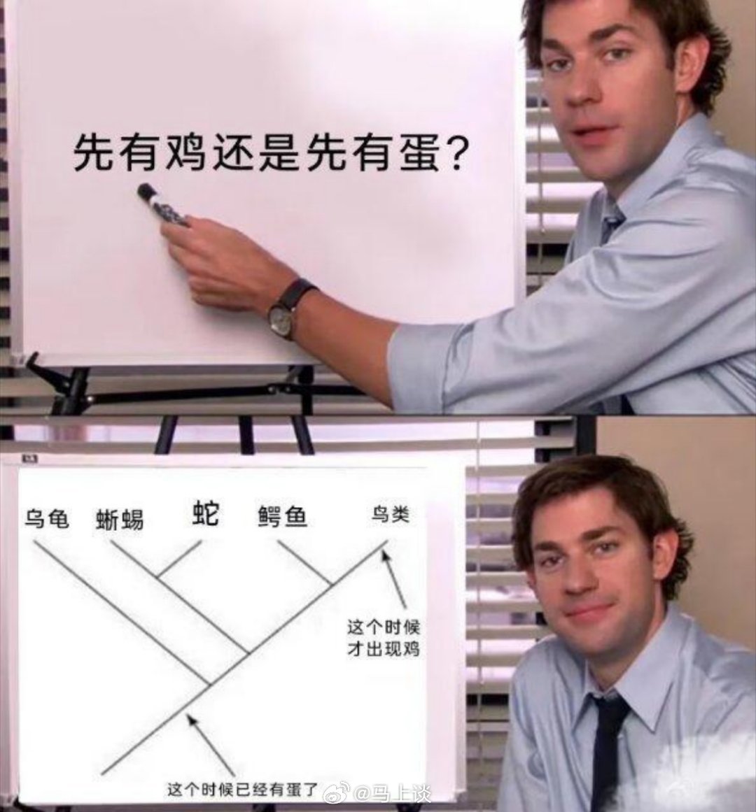世界难题先有鸡还是先有蛋解决了～[doge][doge][doge]​​​