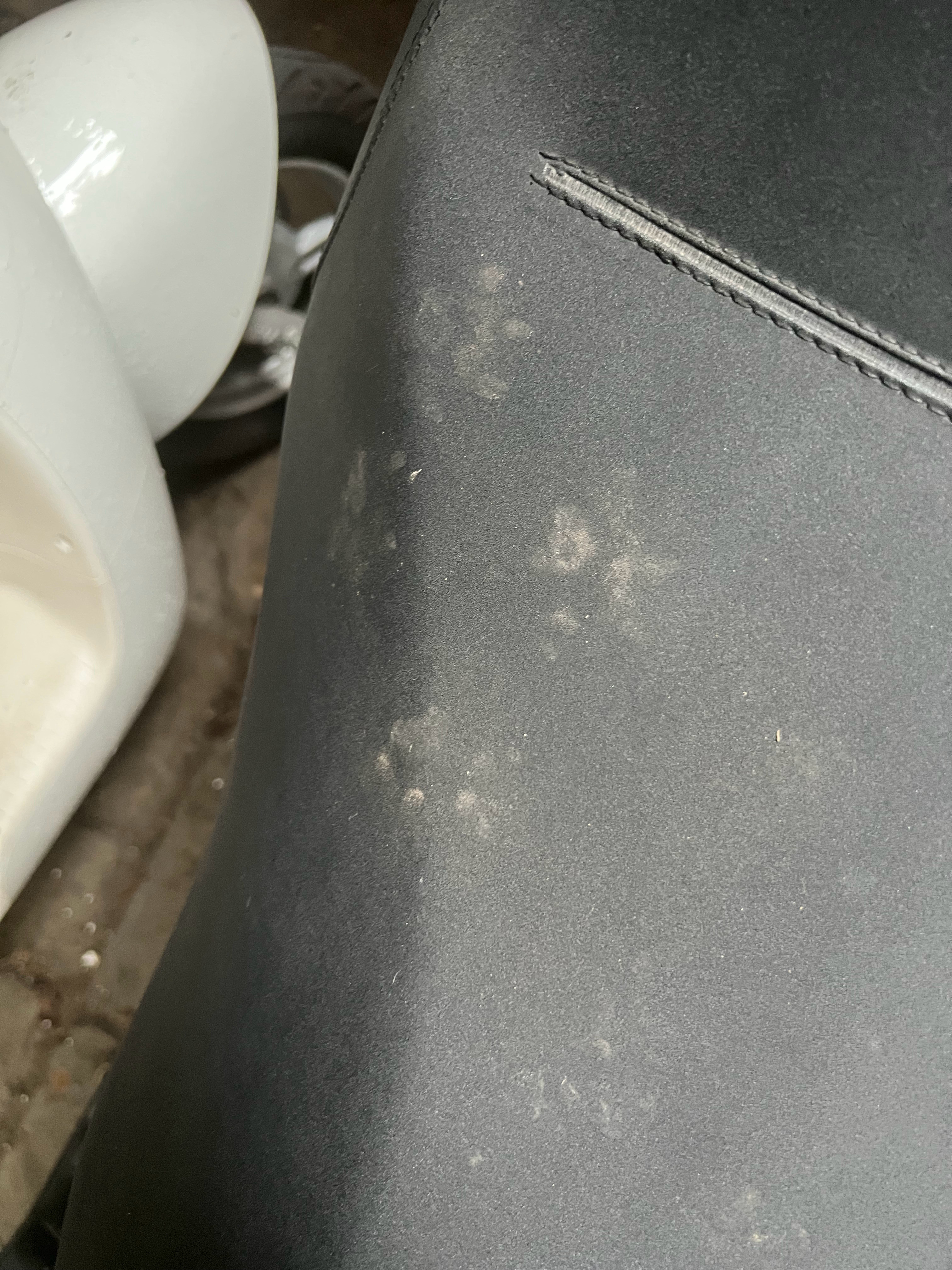 改改改改改死的猫，踩我摩托车