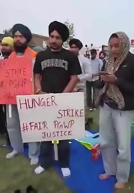 绝食抗议闹大！大批印度留学生被加拿大拒发工签，移民红利彻底没了？原因是加拿大