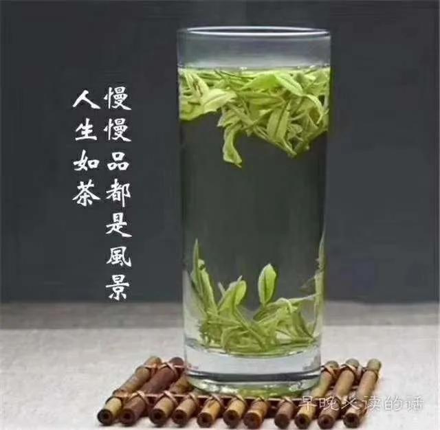 低调也有错，你越是低调，越有人恨你，这是就是人性！低调之殇，当沉默成为罪过。。。