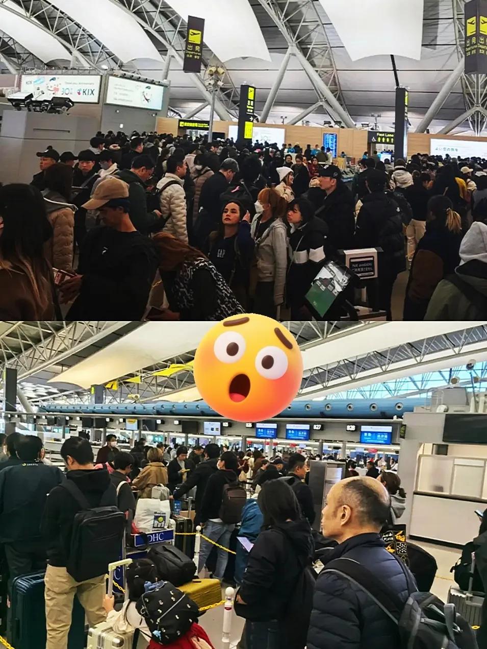 这下好了！之前不听劝非要去日本的那批人！现在想回来就难上加难了！之前