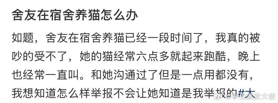 舍友在宿舍养猫怎么办。