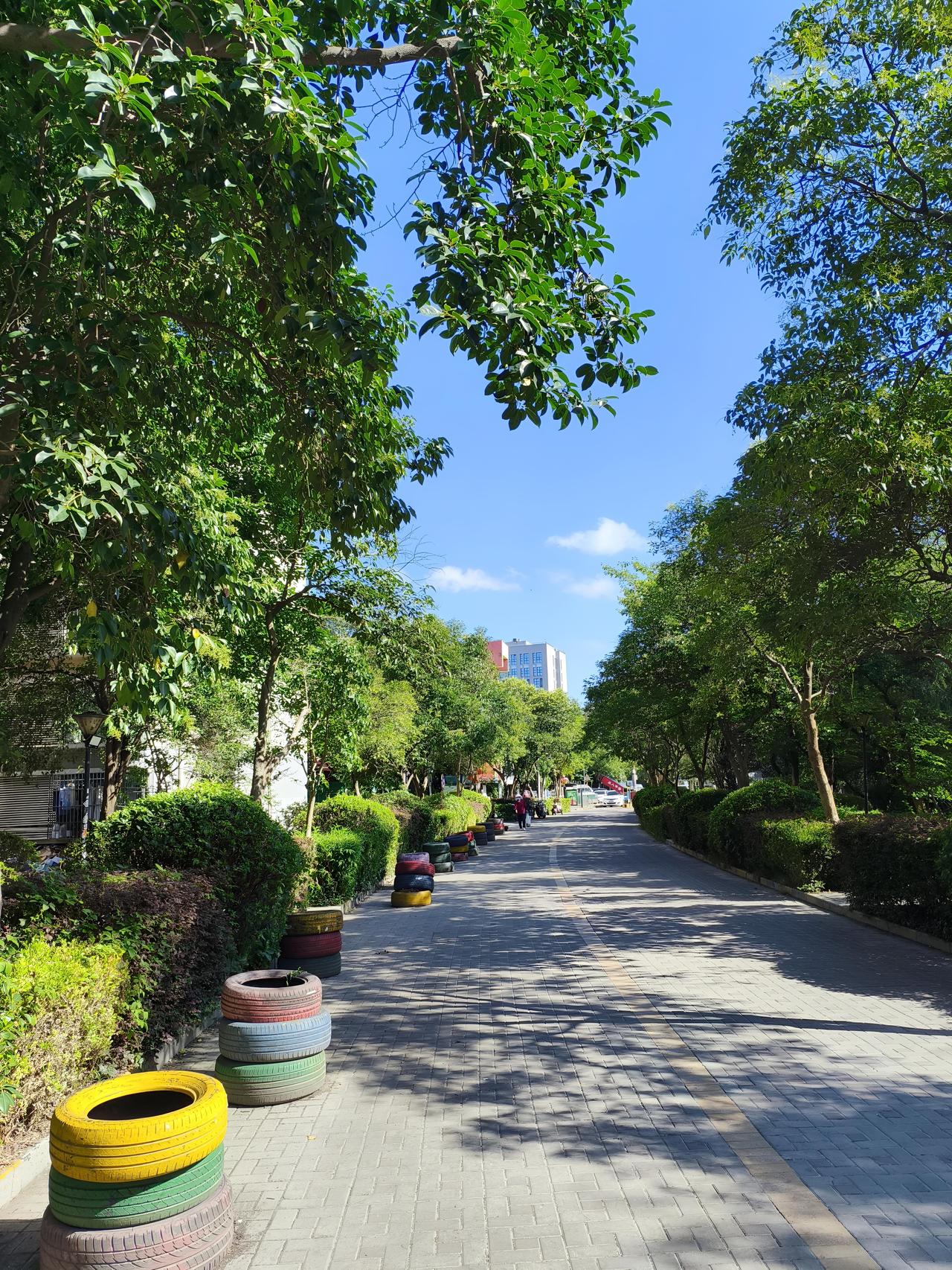 @豆包，南京这台风“巴威”简直是个“疯狂巨兽”！南京市气象台都升级发布台风橙色预
