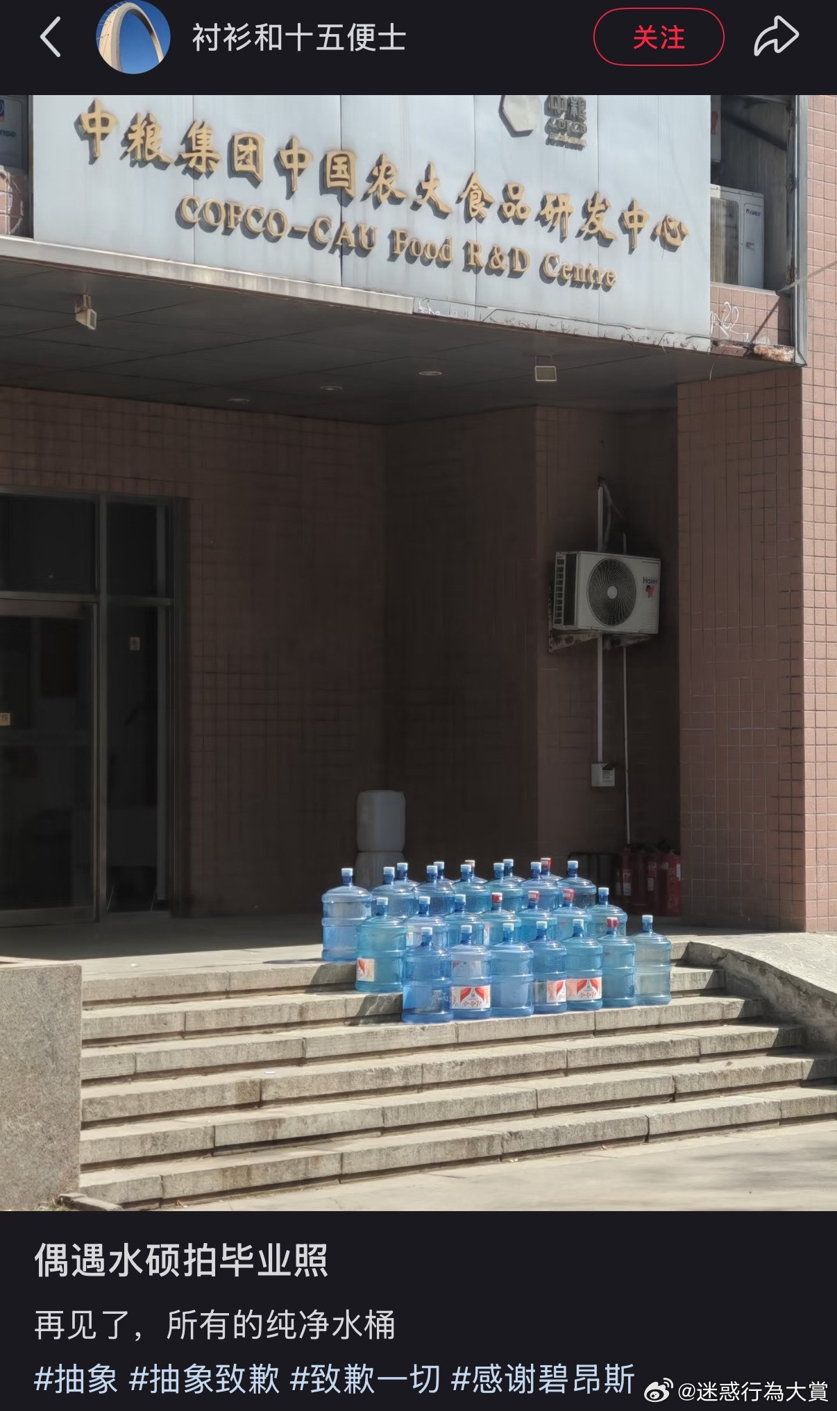 至少它们都很纯洁