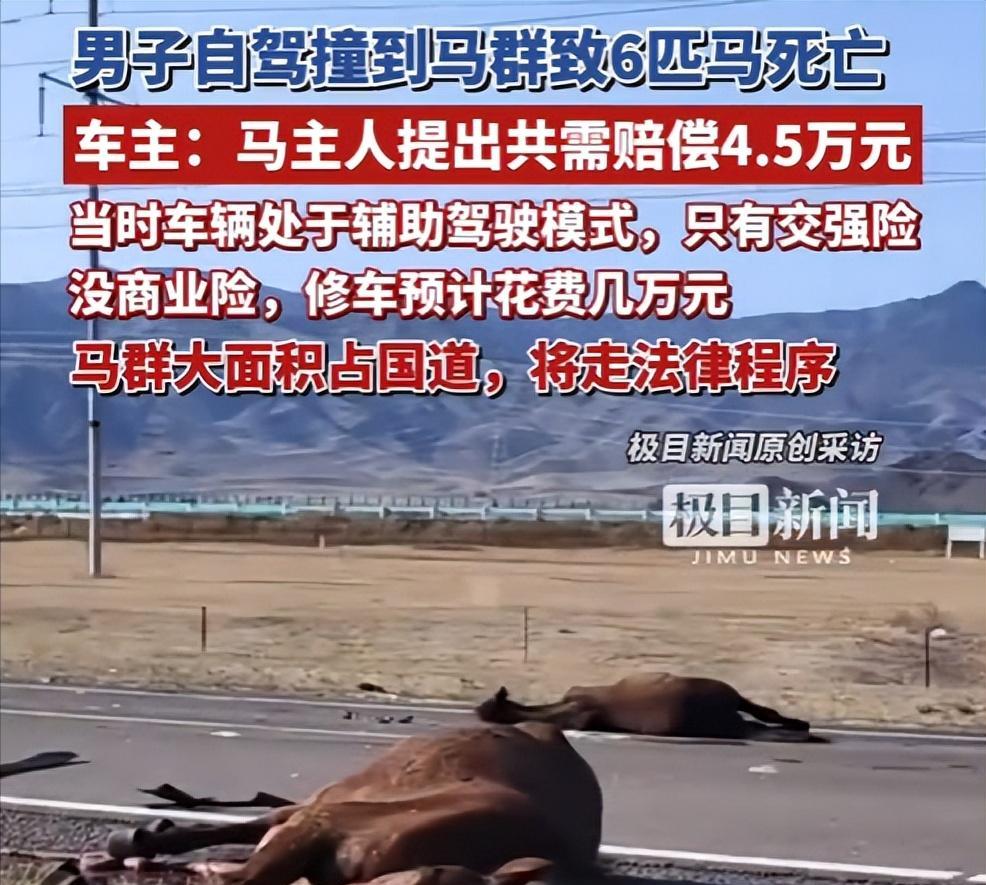 “都是辅助驾驶惹的祸！”男子一行四人从河南开着新能源车到西北自驾，途经218国