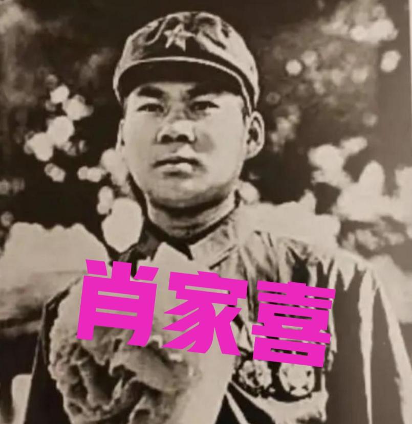 1979年，中越边境，我军巡逻队发现草丛里蜷着一个浑身溃烂、几乎不成人形的"野人