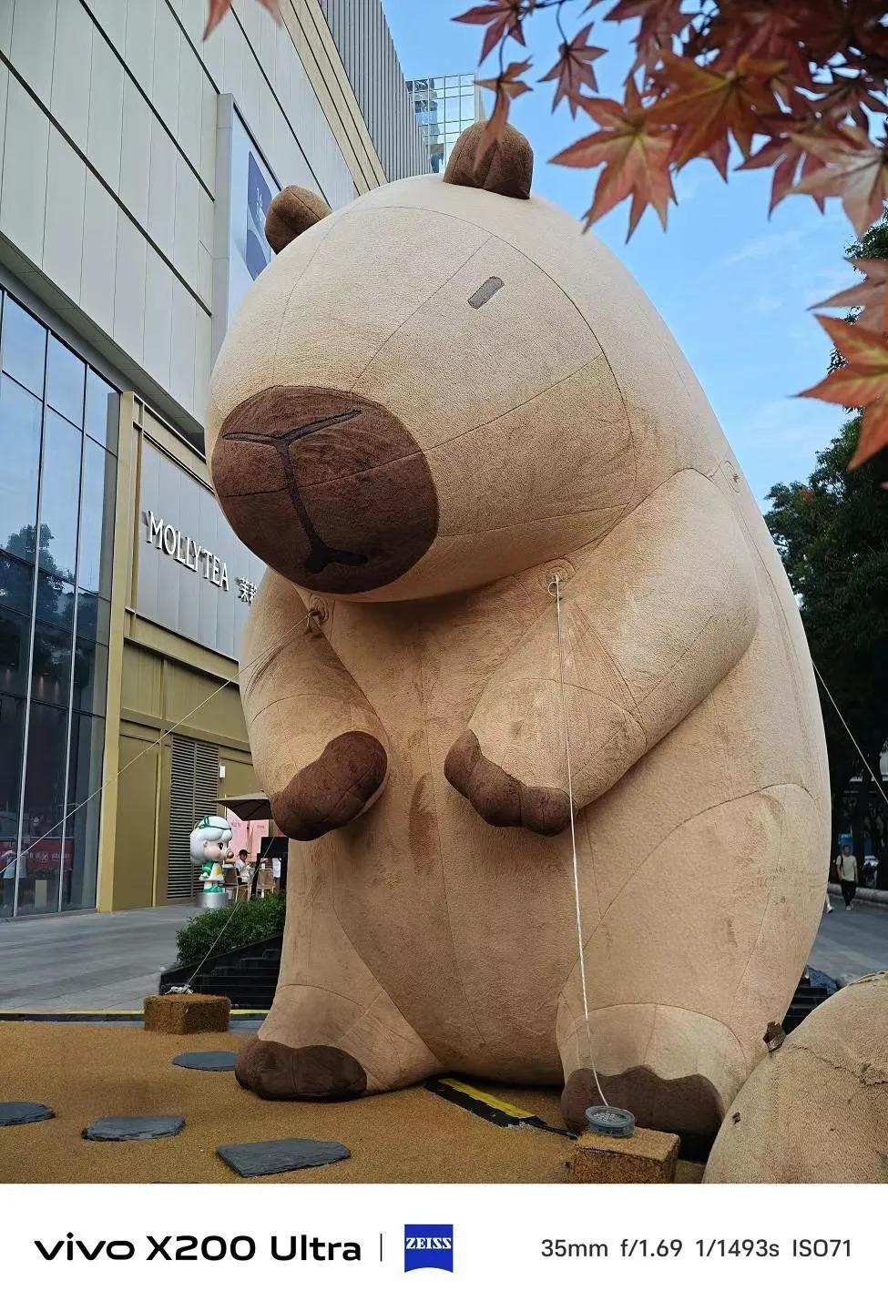 因走路没保持安全距离被判7万[笑着哭][笑着哭][笑着哭]以后走路都应该买个保险[