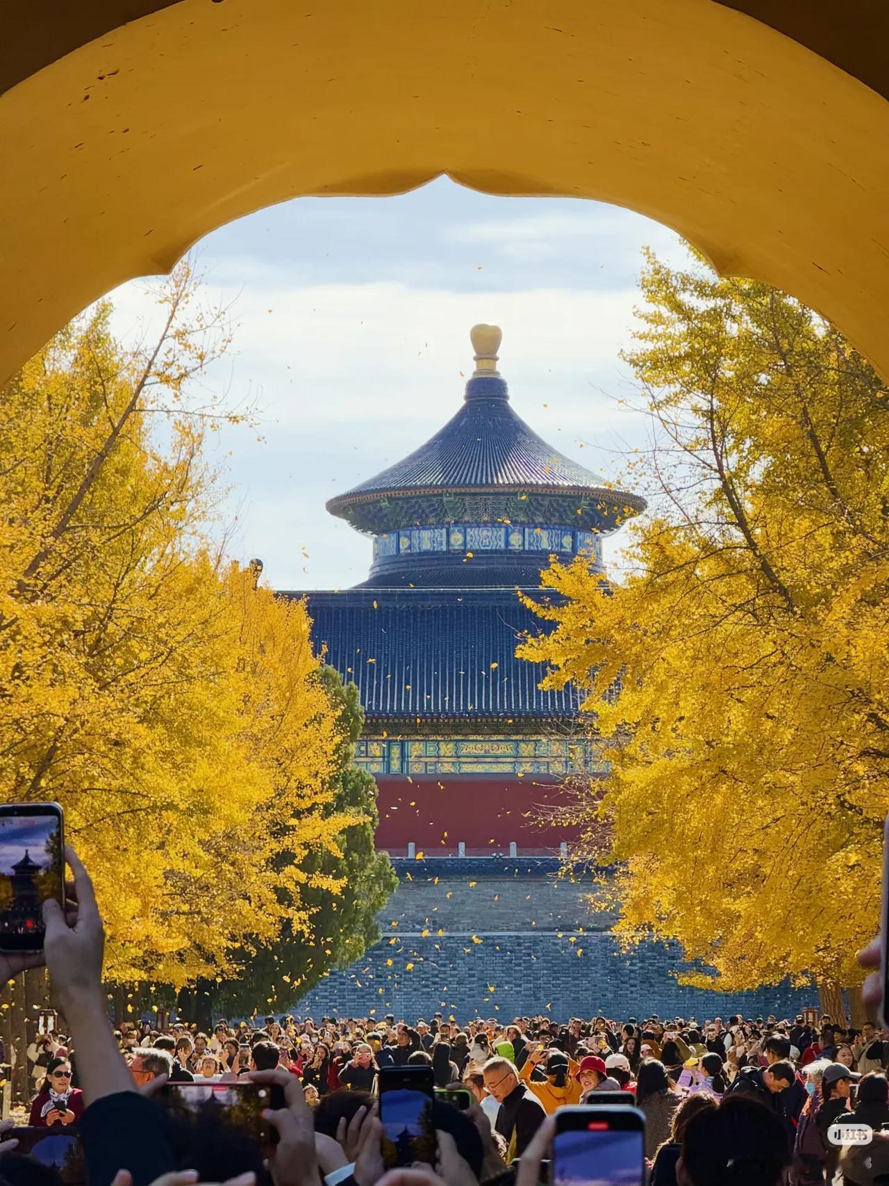接下来北京即将进入最佳赏味期风一凉，北京就悄悄变回北平天高得不像话，云淡得