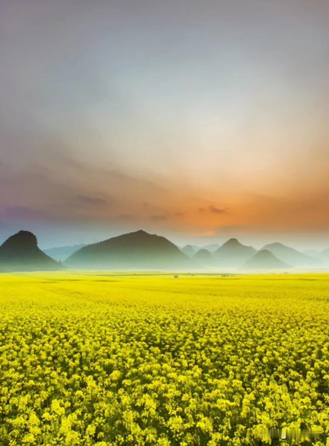 刘震云说：“男女之间那点事儿，其实决定权在女人手里。男人想撩你，发消息、约吃饭、