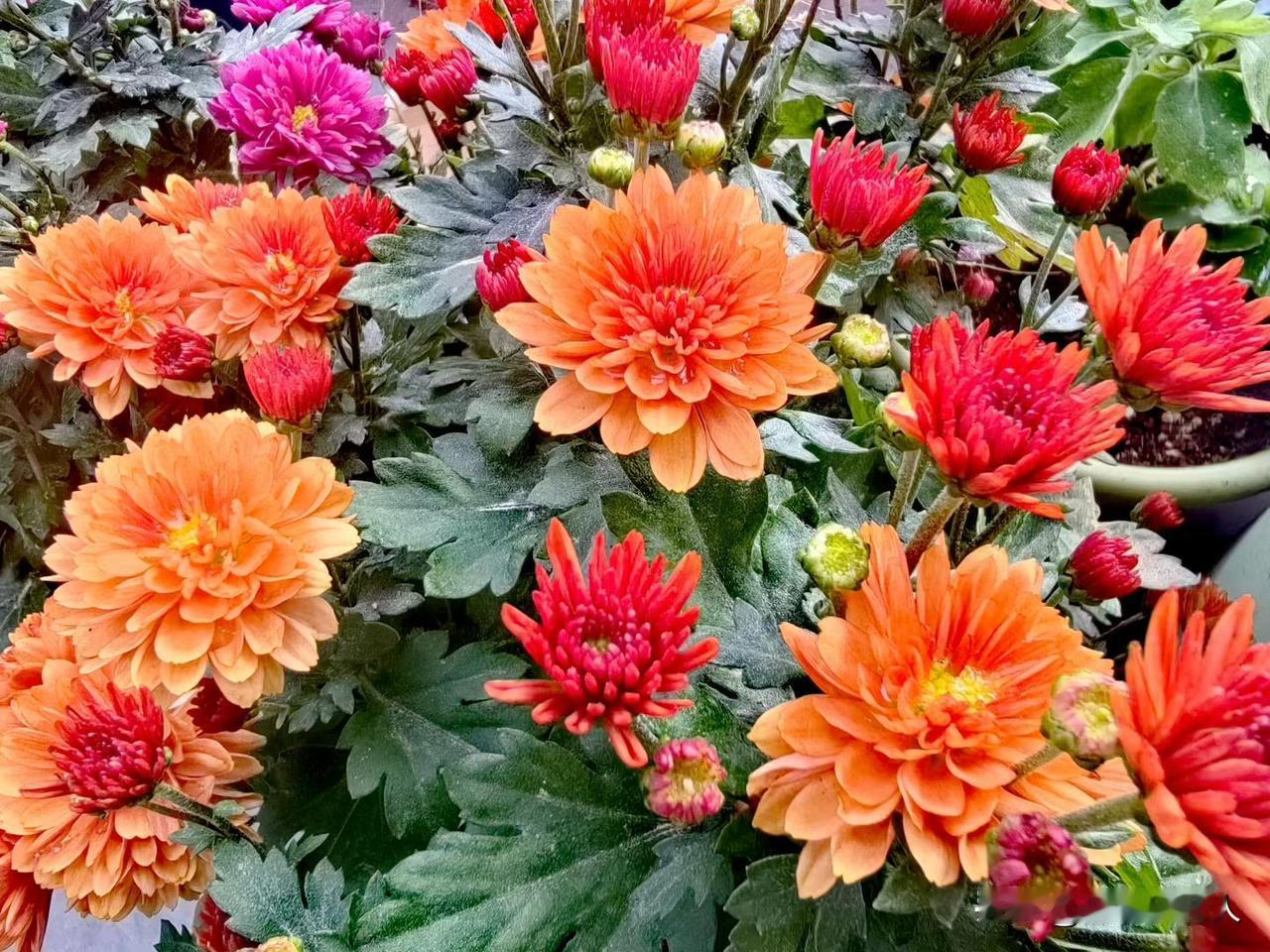 过来人的忠告：老人钱再多，难换回这三种福气老李今年是82岁的老人了，他身体非常