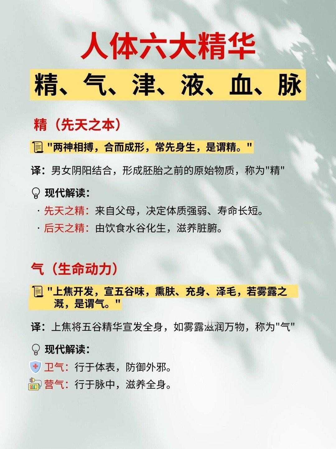 人体之精、气、津、液、血、脉《黄帝内经》将人体比作一个小宇宙，其中精、气、津、液