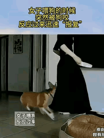 女子在家给狗准备吃的，动作慢了点，狗狗就在女子的脚上咬了一口，女子怒火中烧，拿起