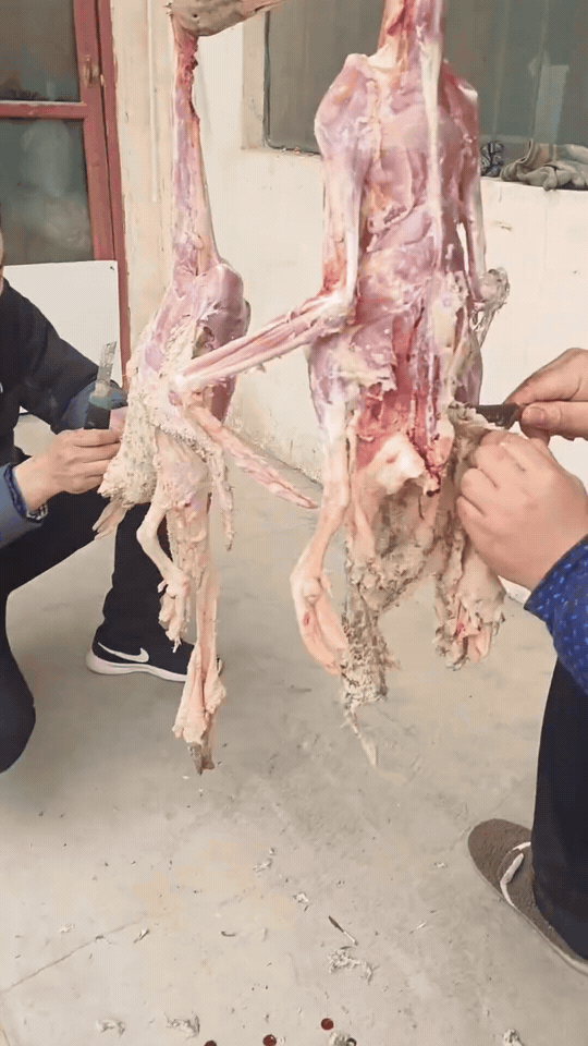 见过剥羊的，见过剥牛的，也见过剥狗的，家人们，你们见过剥这个的吗？！😄这操