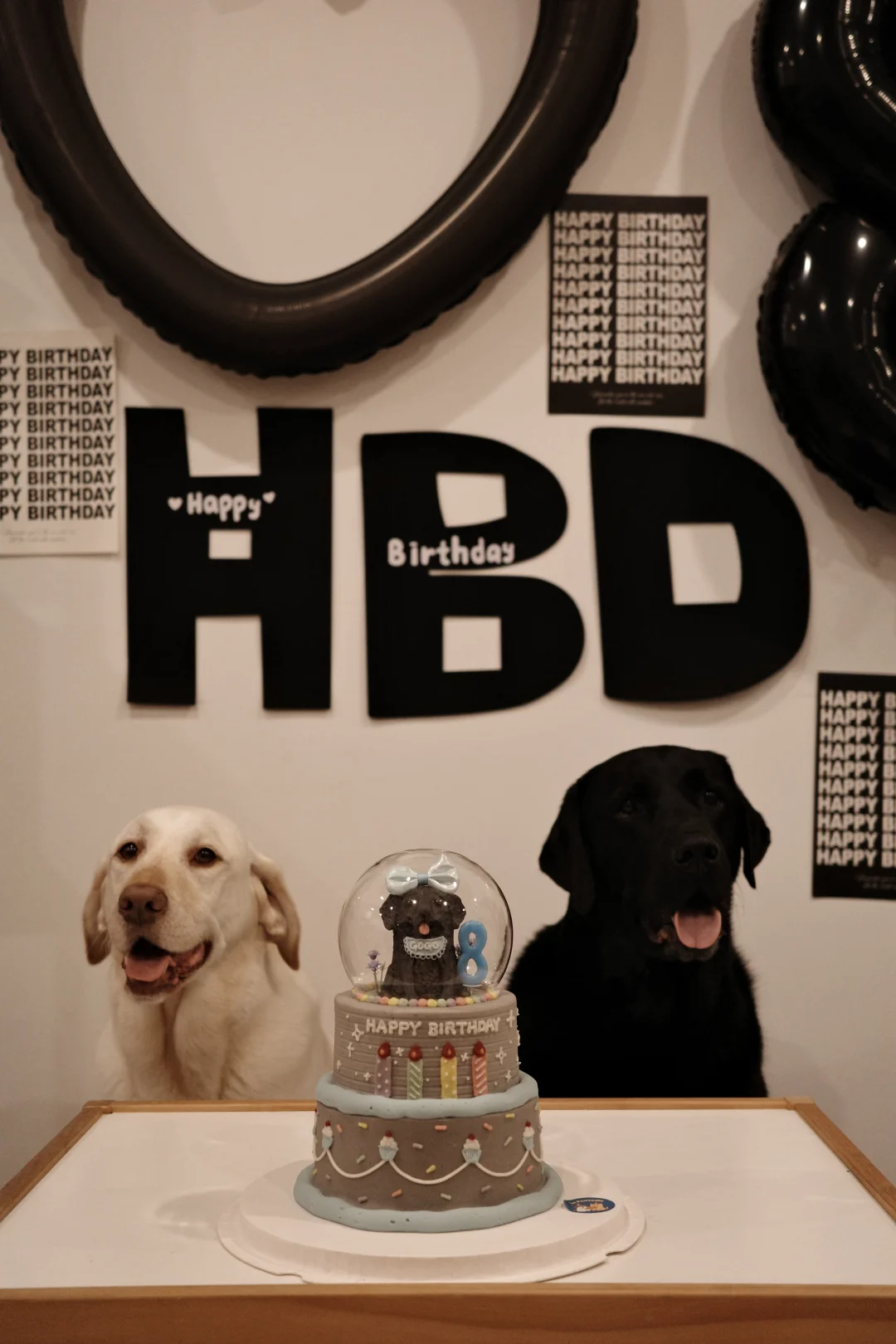 生日快乐 8岁宝宝go