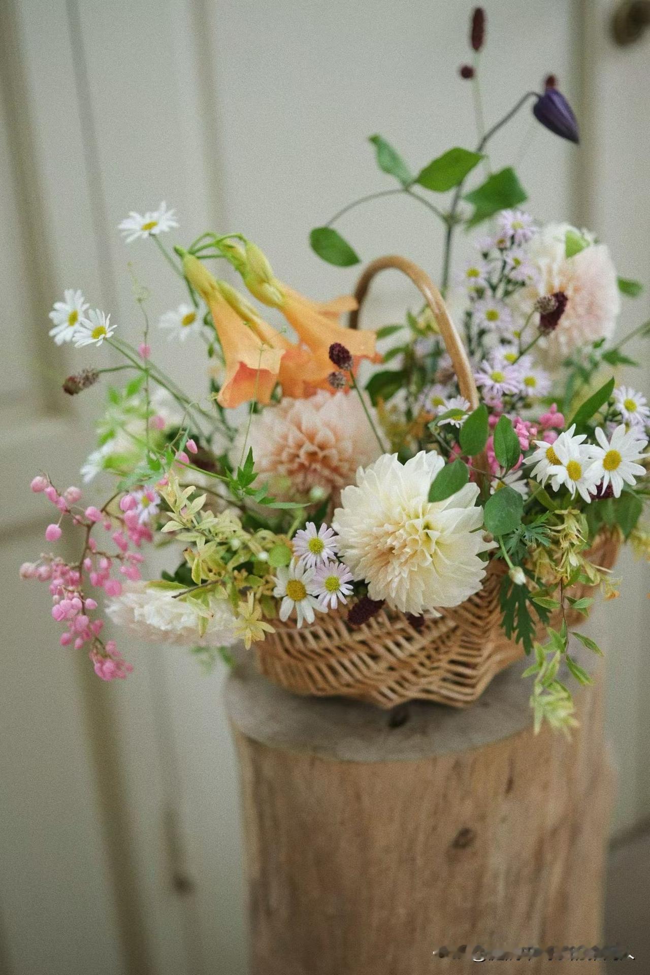 人这一辈子其实就三件事：把生我的人送走；把我生的人养大；最后自己在岁月里慢