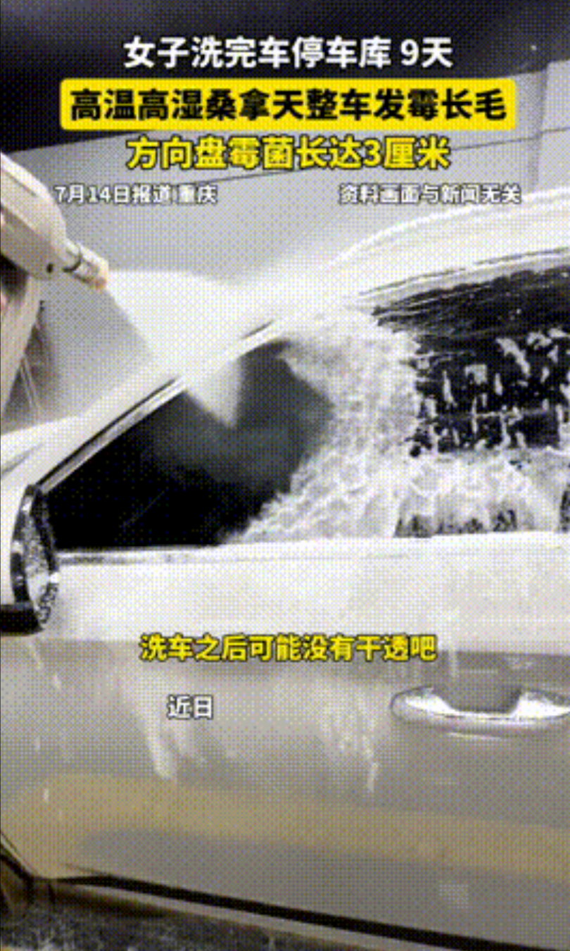 “恶心坏了！”重庆，一女子洗完车后，便将车放在车库9天，可等她准备开车时，竟发现