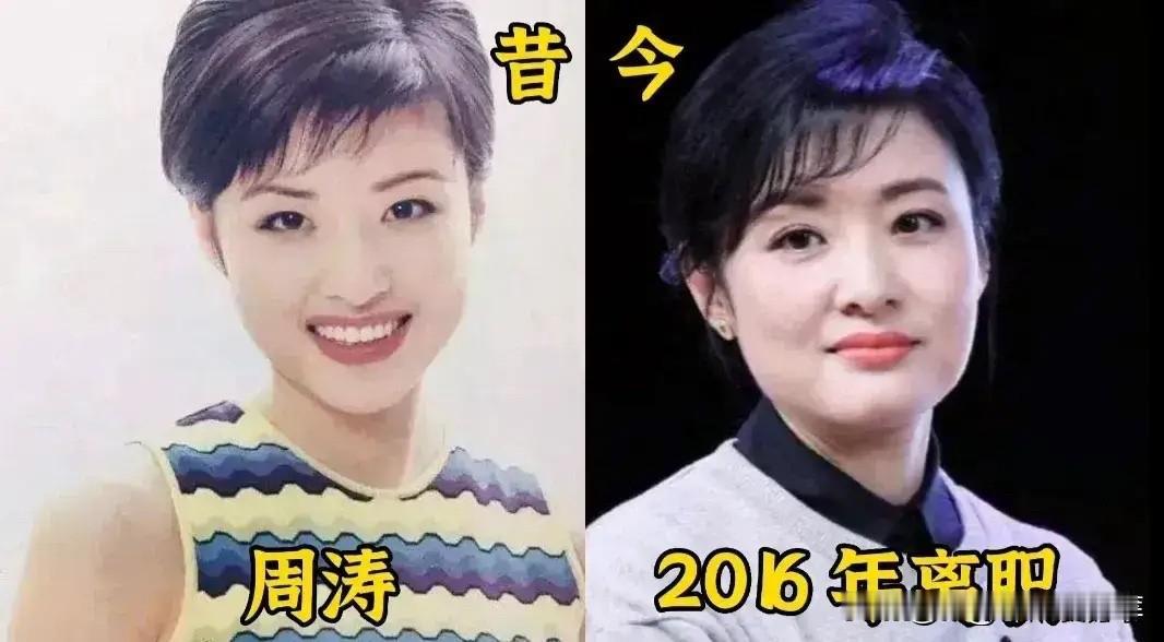 翻完倪萍、杨澜、周涛这些家喻户晓的前央视名嘴的人生轨迹才懂，有真本事傍身的人，不