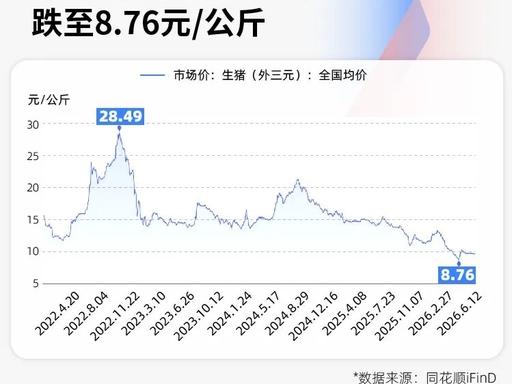 不要对赌猪肉涨价，因为现在发明了一种新的种猪，以前种猪一年撑死生18只猪仔，现在