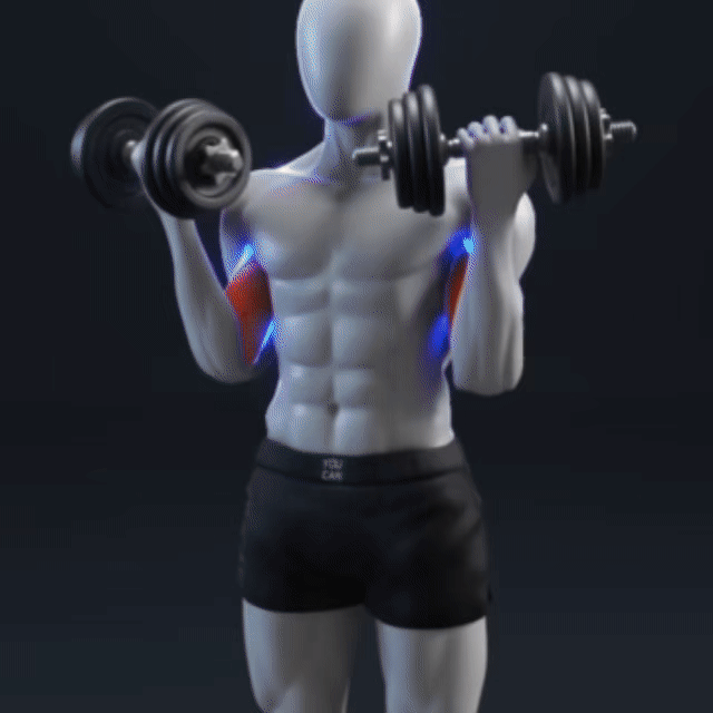 运动康复【健身细节】拒绝错误的健身，注意细节才能避免损伤，比如常见的肱二头肌哑