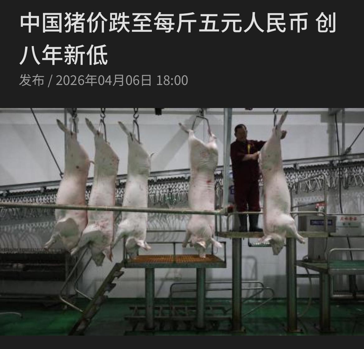 新加坡联合早报今天（4月6日）报道：中国猪肉价格创近八年新低，全国生猪均价已跌至