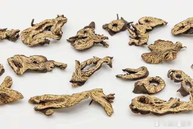 升麻：中医界的“万能辅助”，它不直接治病，但没它不行！升麻是一味发散风热药，具有