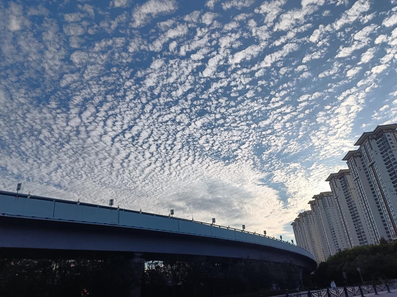 某银长高管说了一句真话：我们的员工都会主动加班，很少有下班就走的，很敬业。位居