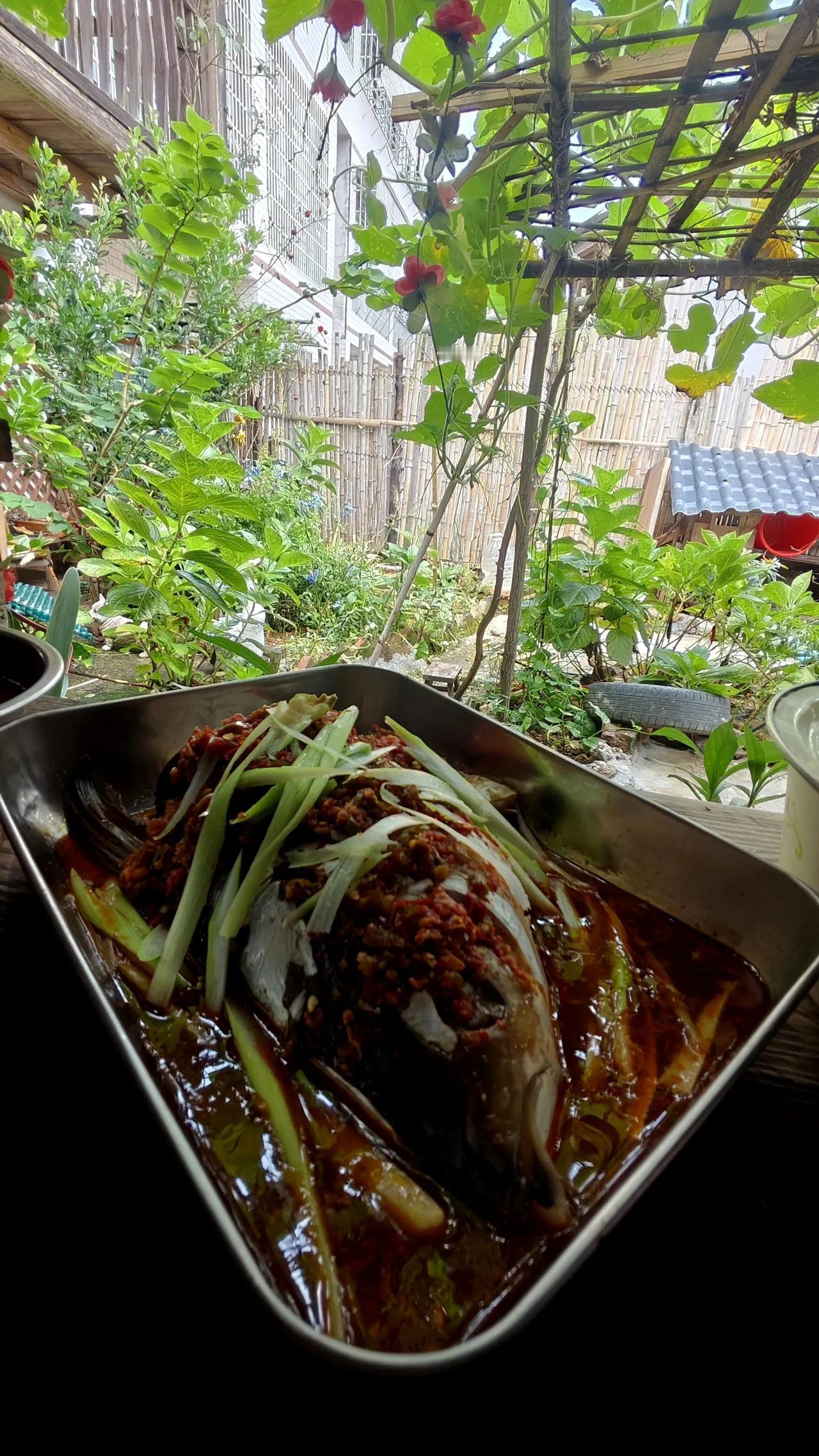 好几天不出门，冰箱储备的肉类也清理得差不多了，今天还有一个鱼头，把院子里的辣椒不
