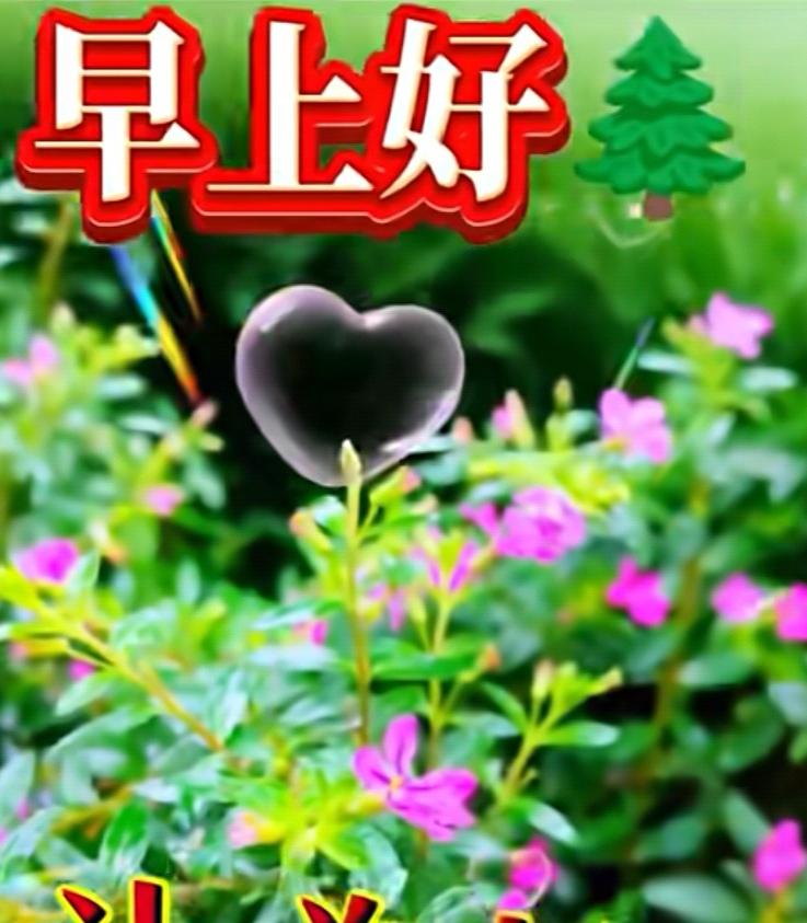 我們相遇真不易，都是緣分和福氣，手機頭條常聯系，地久天長增友誼，送去健身