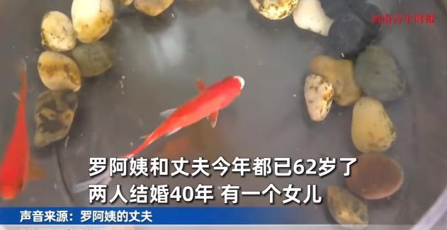 “这下后悔了吧！”6月7日，重庆街头，一位年过六旬的老太太因为当众斥责老