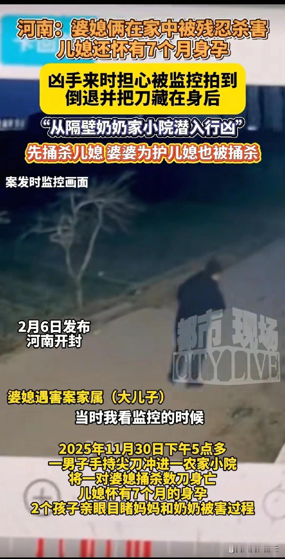 河南婆媳被杀案里，凶手被怀疑有精神疾病，正在做精神疾病的鉴定。被害者家人认为，