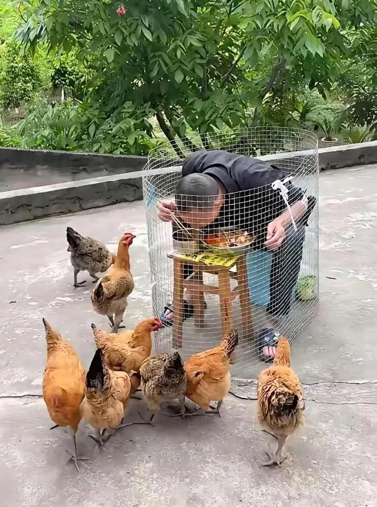 这是什么情况