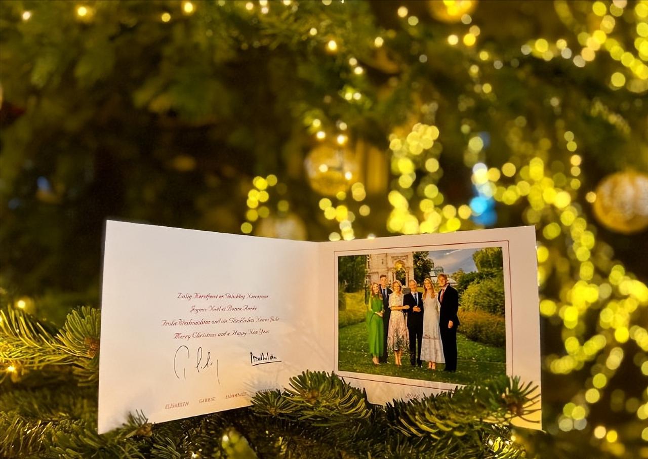 比利时国王家的圣诞全家福出炉了，不过这张幸福的全家福背景如诗如画，却有点儿像画布