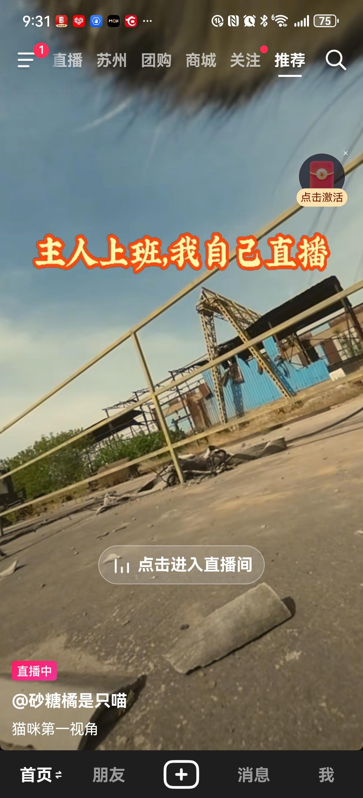 好家伙，一只猫开直播居然六千多人在线，真给我看懵了😂主人上班，它就自己在