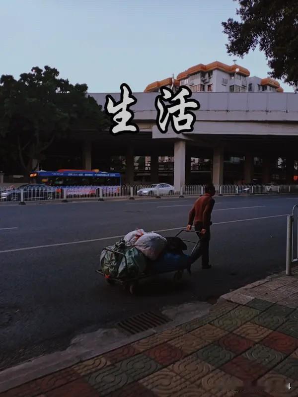 “心若向阳，无谓悲伤；心若向暖，何惧冰霜。”这不仅是一句箴言，更是一种对抗