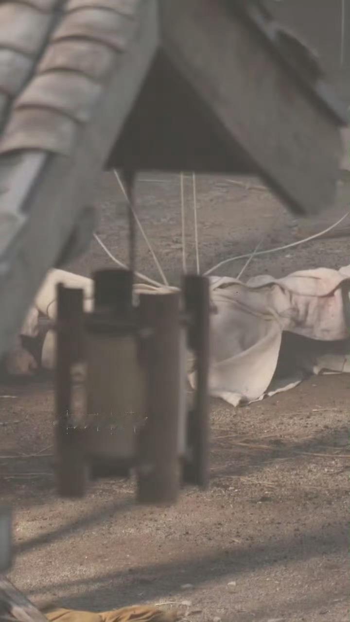 成毅又受伤了我靠，成毅这个吊威亚视频太吓人了，先是脸砸到瓦片上，然后被威亚往后