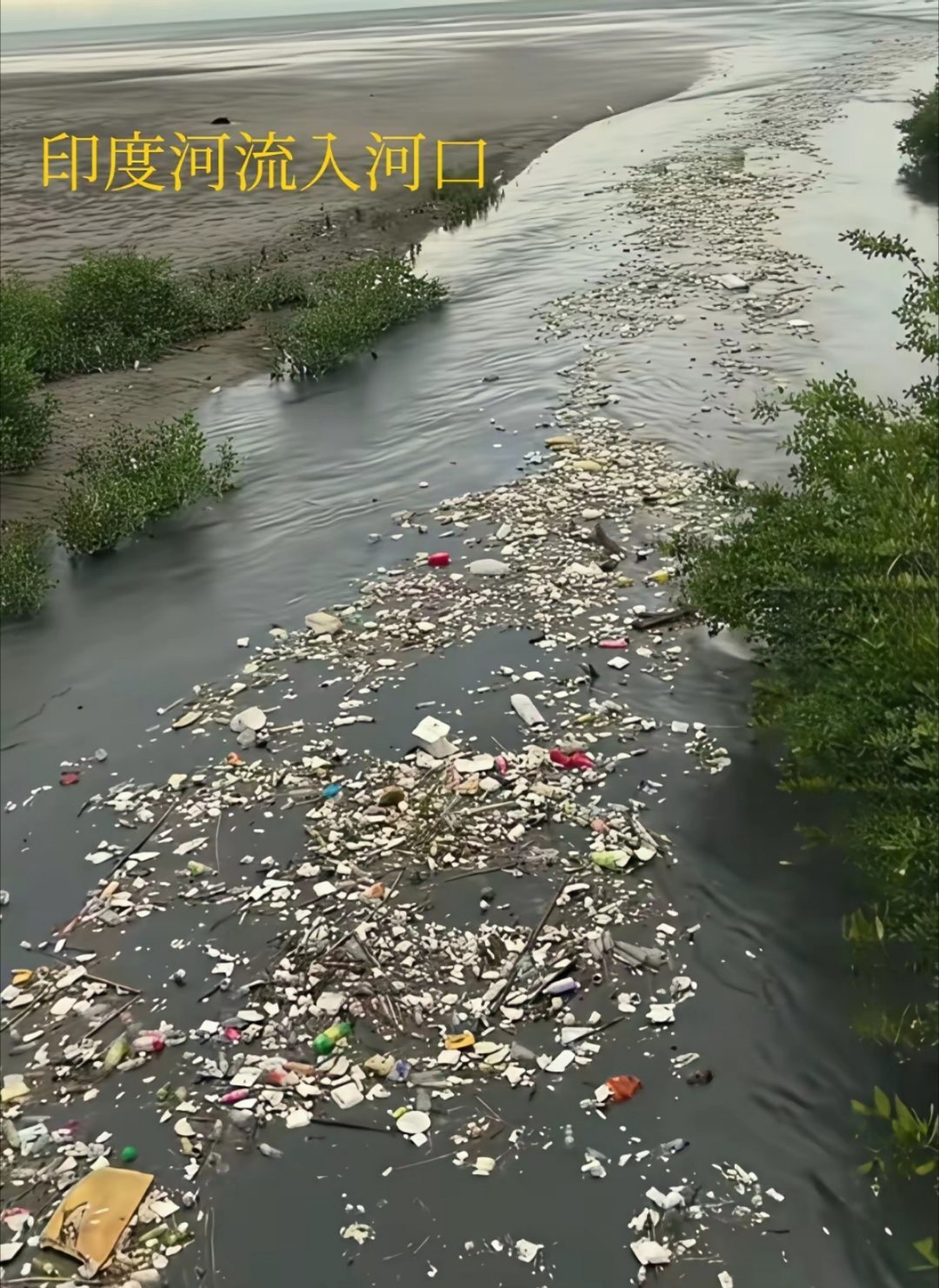 网友：印度是地球的粪坑