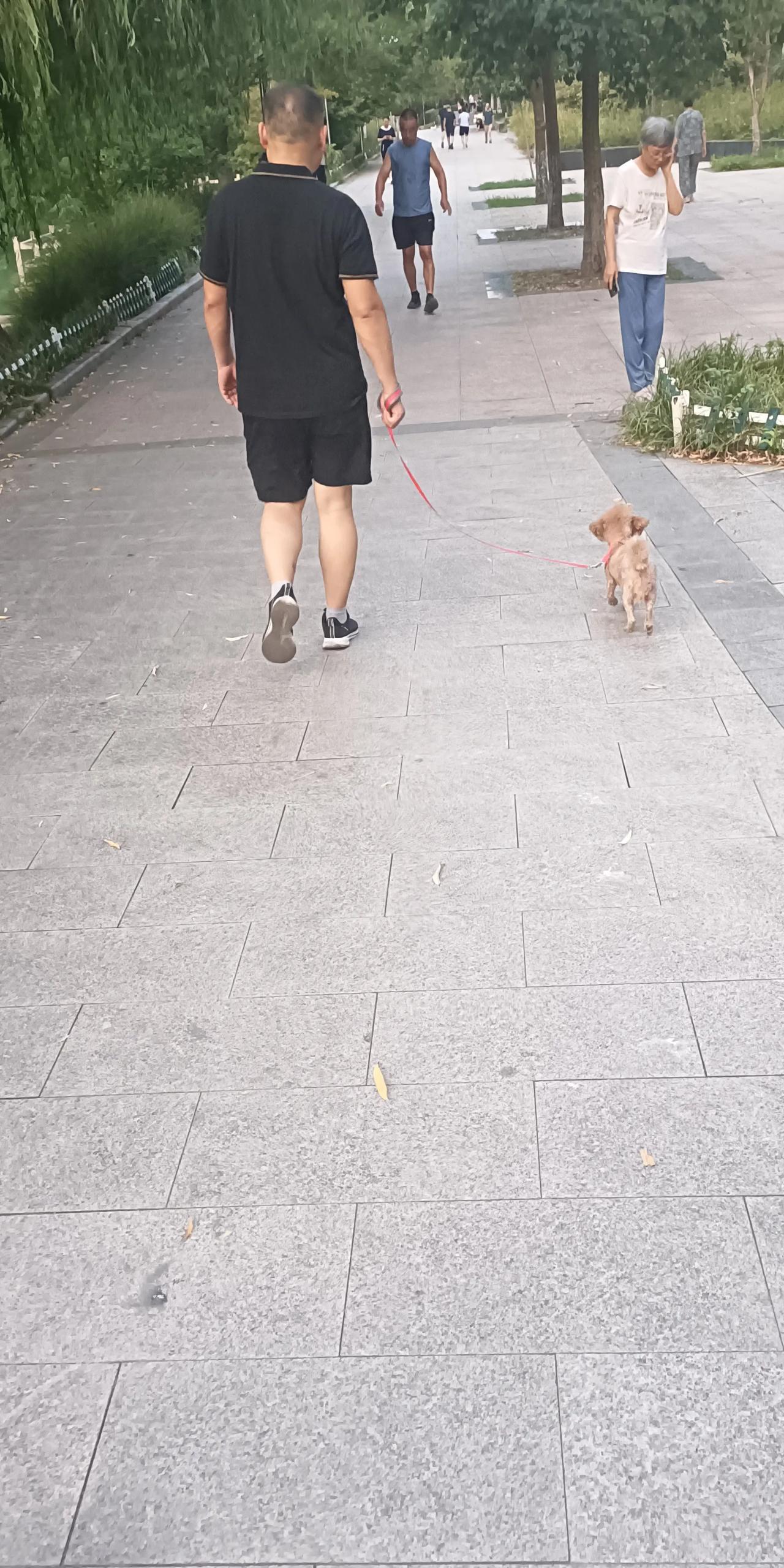 #今天跑步了吗#冬练三九，夏练三伏。伏天跑步是对自身难的挑战，今天仍然是高温
