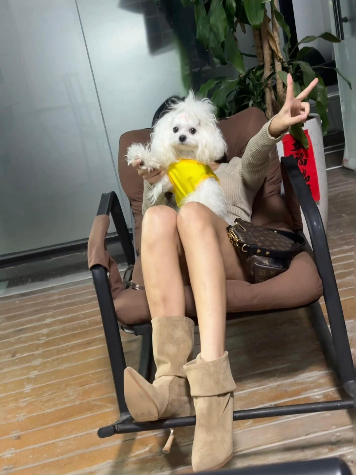 我和小狗🐶有个约会​​​