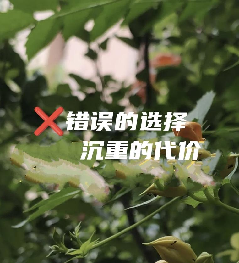 我是中晚期卵巢癌，康复进入第9年。我80岁了。我发现我越来越怕行动，大部分时间是
