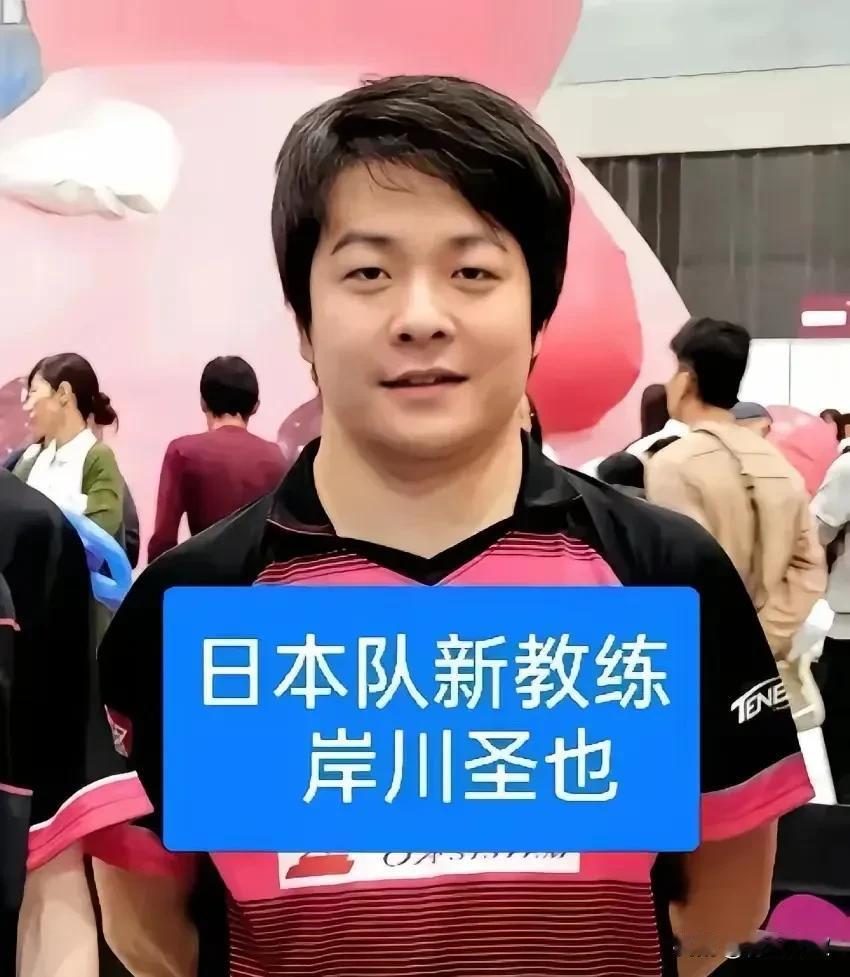 张本智和教练岸川圣也透露，张本智和又在研究雨果了。他们已经将雨果打球视频分解