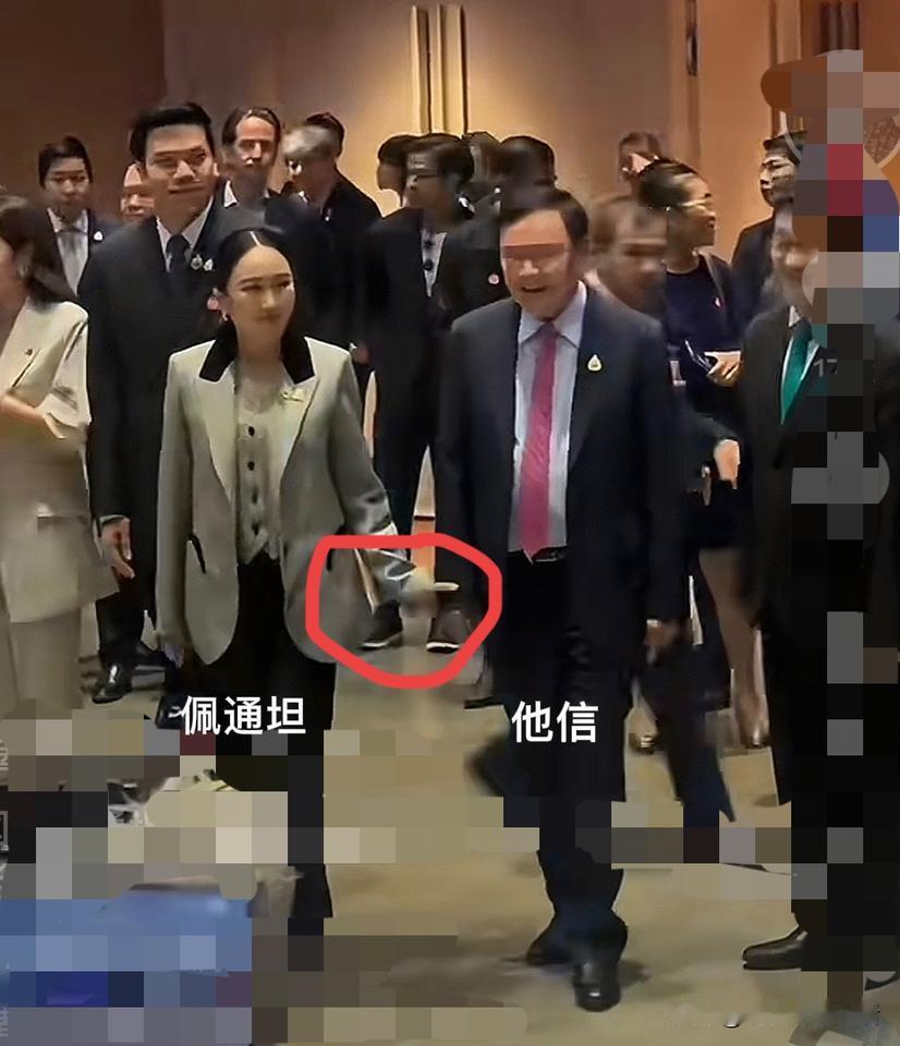 超赞！佩通坦果然是爸爸他信体贴的“小棉袄”，这一手搀扶的同框画面，好温馨！洪