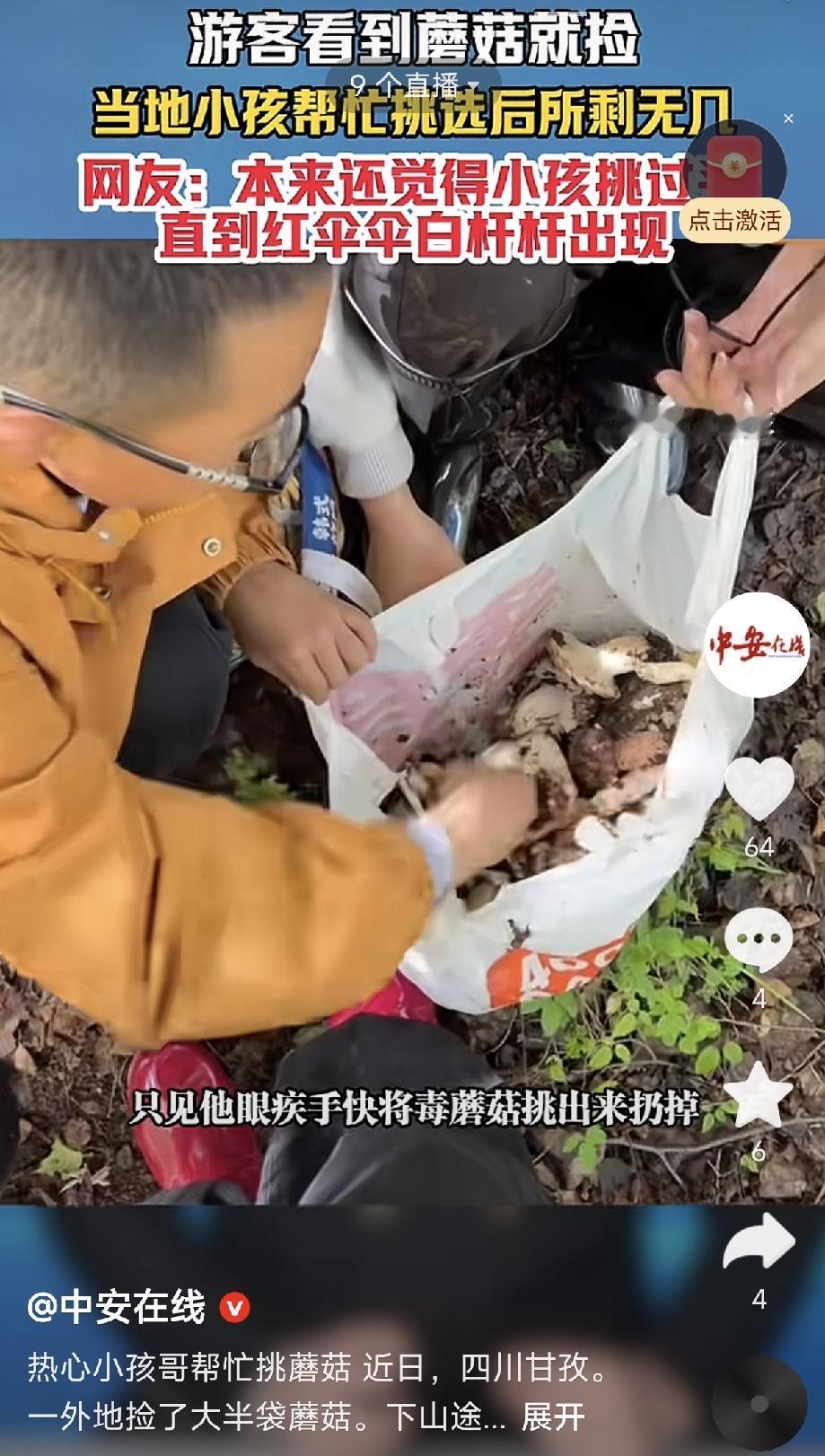 笑不活了！四川甘孜，一女子和朋友用AI识别捡蘑菇，捡了一大半袋，下山途中遇到当地