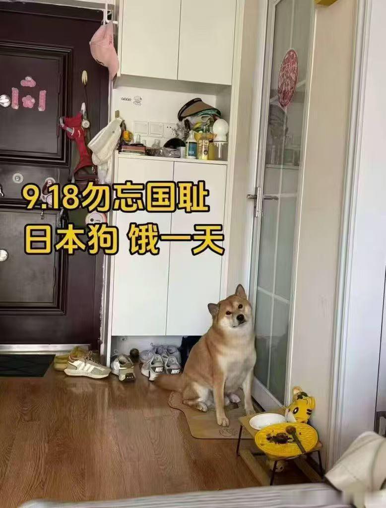 新加坡这种小国，一直如履薄冰走到现在。其实那些中立国身份的，一直都吃的很饱​​