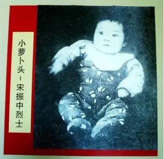 1949年，毛人凤问蒋介石，白公馆关着一个八岁大的小孩，应该如何处理，蒋