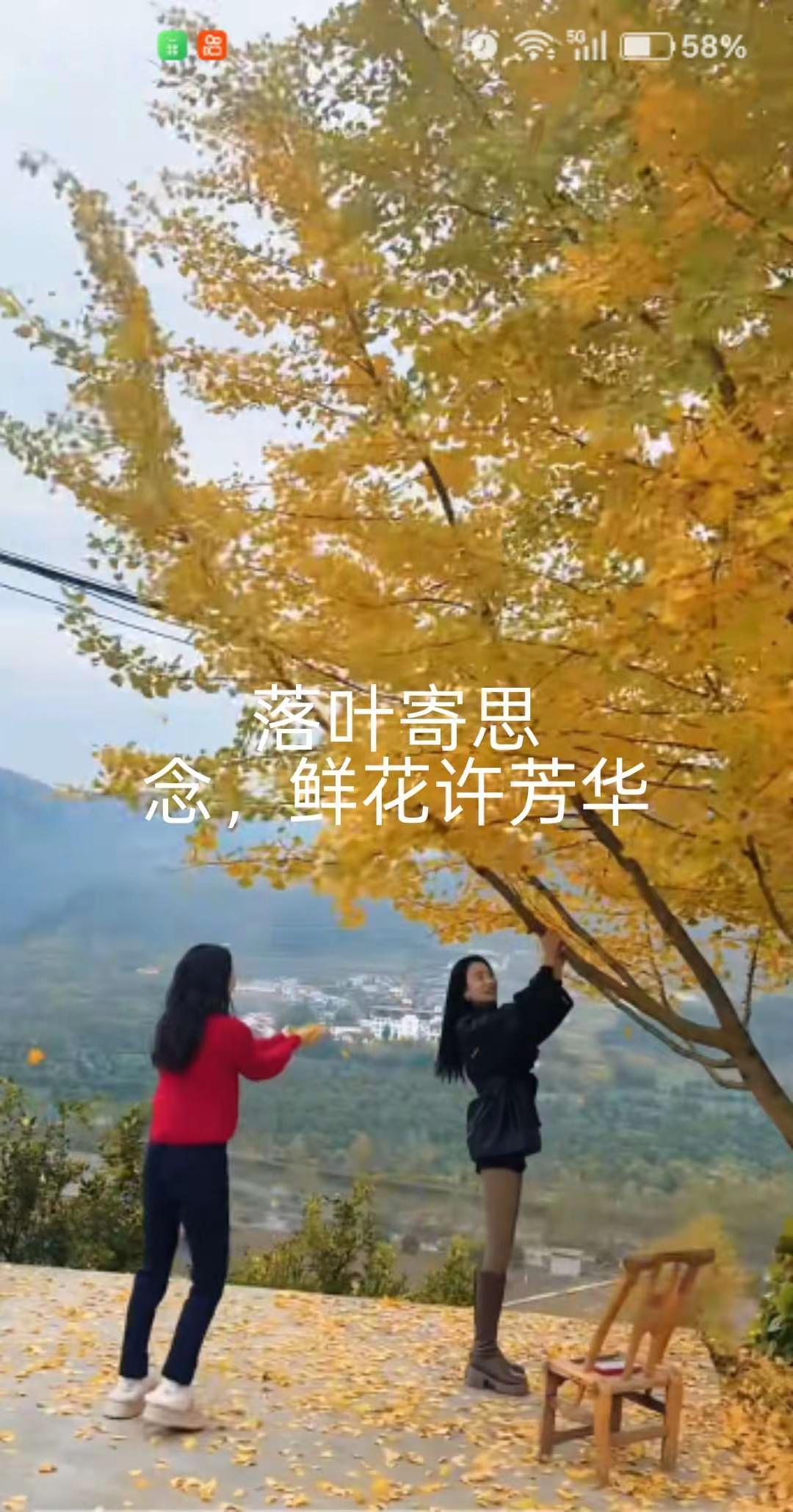 我们家乡的银杏树形象最差，但身材最伟岸高大，你差是哪一张😂😂